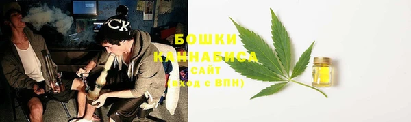 ECSTASY Богданович